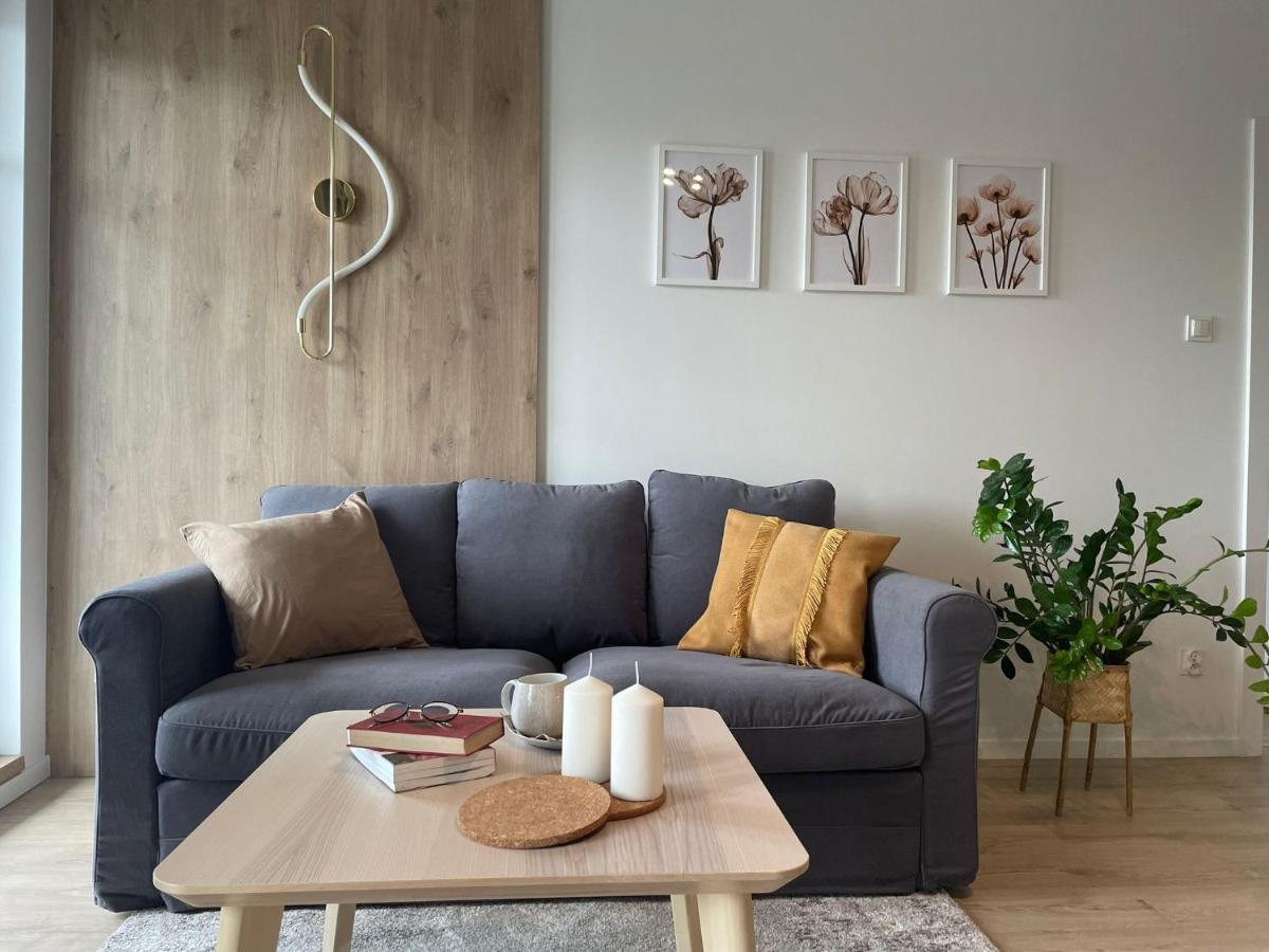 Apartament Kameralis Old Town - Klimatyzacja - Balkon - Winda แอลบลอง ภายนอก รูปภาพ