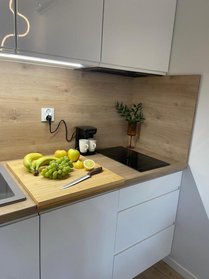 Apartament Kameralis Old Town - Klimatyzacja - Balkon - Winda แอลบลอง ภายนอก รูปภาพ